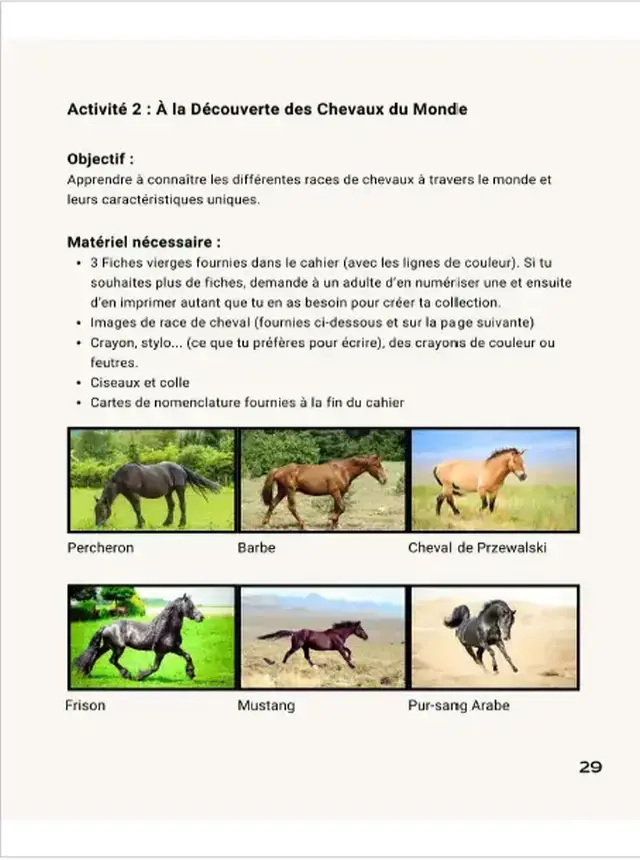 ressource chevaux 3